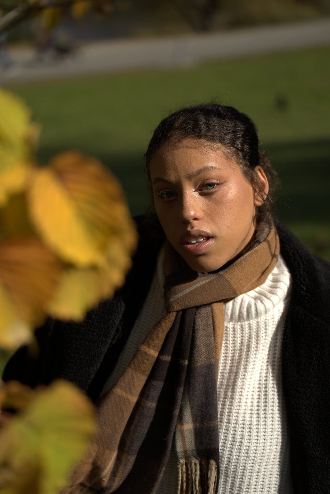 Portrait framed by golden autumn leaves